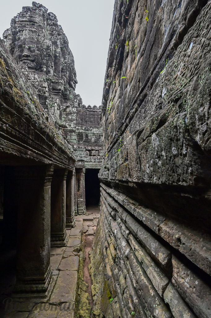 Kambodscha Reise: Antike Tempel und Dschungelabenteuer